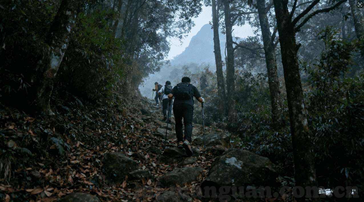 龙虎手机app平台-龙虎手机APP平台的崛起，重塑数字娱乐的新纪元